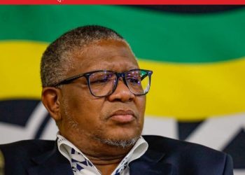 “We Must Not Wait For The Commission To Finish, Those Implicated Must Be Arrested Now” Mbalula Says