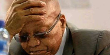 Another Big Wig Has Allegedly Resigned From Zuma’s MK Party