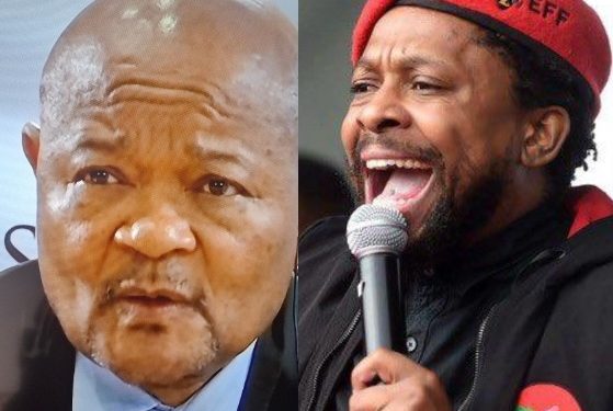 “No Amount Of Rehabilitation Can Save Mchunu” Mbuyiseni Blasts Him For Insulting The Nation