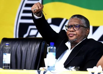 ANC’s Mbalula Condemns Recruitment of South Africans to Fight for Russia