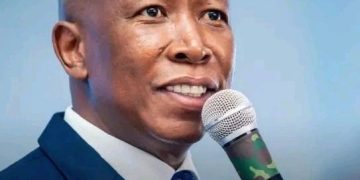 Madlanga Commission Links Malema to Alleged Cartel Kingpin