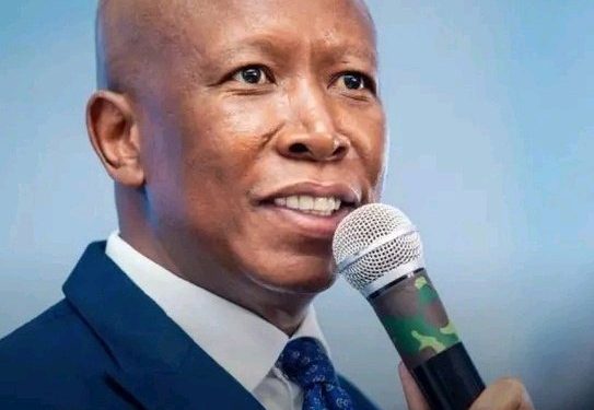 Madlanga Commission Links Malema to Alleged Cartel Kingpin