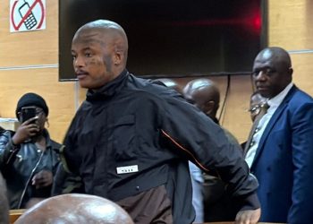 Shebeshxt Heads to Polokwane High Court in Urgent Appeal Against Bail Denial