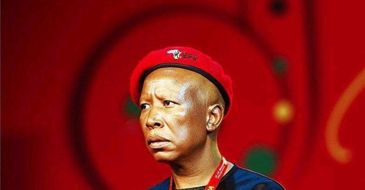 Julius Malema Admits In Court That He Fired Real Gun During His Trial, Says White Man Was Innocent