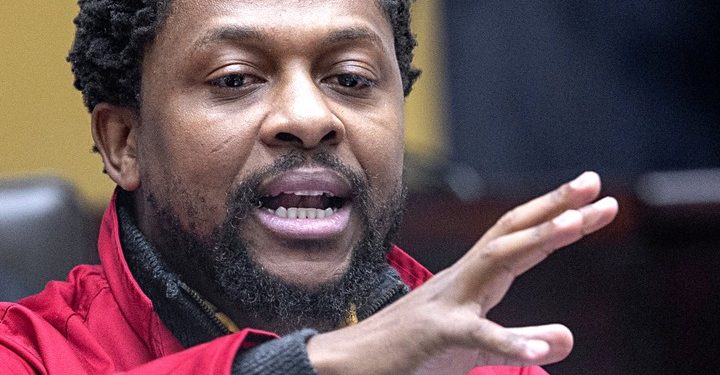 Mbuyiseni Ndlozi Hits Out at ANC Leaders for ‘Pretending’ While Fighting Over Power
