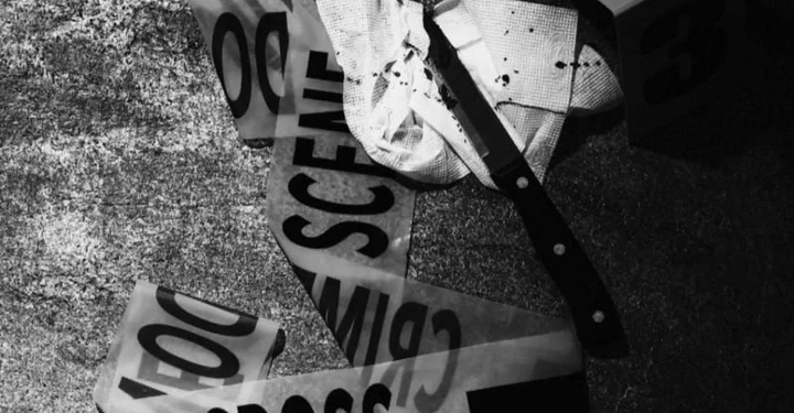 77-Year-Old Limpopo Farmer Killed in Farm Attack