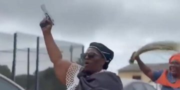 Bitou Deputy Mayor Denies Firing Real Gun at Son’s Ceremony, Calls it a Toy