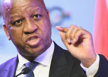 IFP Youth Brigade Dismisses MK–EFF Bid to Oust Premier Ntuli as “Impossible Numbers Game”