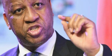 IFP Youth Brigade Dismisses MK–EFF Bid to Oust Premier Ntuli as “Impossible Numbers Game”