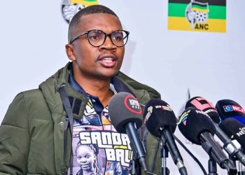 ANC Youth League Demands Jobs, Free Education, and DA Ministers’ Removal