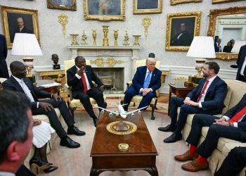 Five Quotes That Defined a Dramatic Year in South African Politics