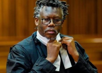 Adv Ngcukaitobi stirs drama, Evidence leader not happy, Ngcukaitobi is stopped, Madlanga adjourns