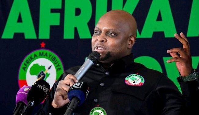 Afrika Mayibuye Movement Wants Ad Hoc Committee Investigating Mkhwanazi To Be Disbanded