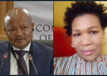 Madlanga Commission Exposes That Police Minister Mchunu Misrepresented Patricia Social Media Post