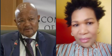 Madlanga Commission Exposes That Police Minister Mchunu Misrepresented Patricia Social Media Post