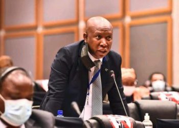 “Why is he invested in ANC matters?” – SA reacts to Malema’s warning about Mbalula