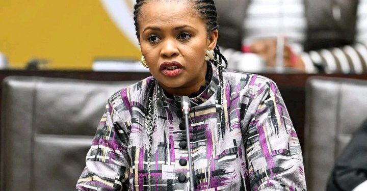 Tension Rises As Calls Mount For Khusela Diko’s Removal From Parliamentary Ad Hoc Committee