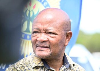 MK Party Suffers Major Blow After Court Refuses to Reinstate Suspended Police Minister Mchunu