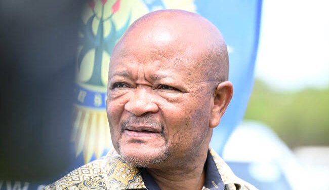 MK Party Suffers Major Blow After Court Refuses to Reinstate Suspended Police Minister Mchunu