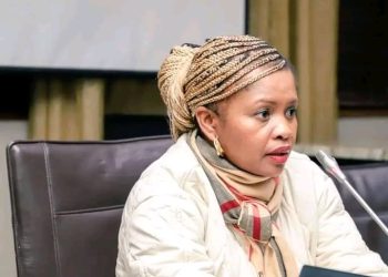 Parliament in Turmoil: ANC Halts O’Sullivan’s Online Testimony, Drama Escalates