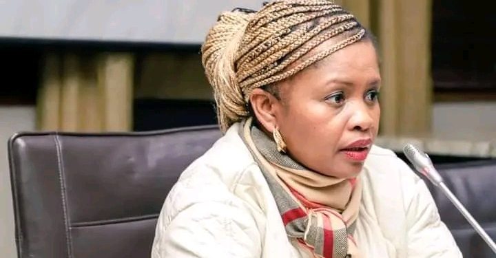 Parliament in Turmoil: ANC Halts O’Sullivan’s Online Testimony, Drama Escalates