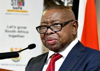 Minister Blade Nzimande Announces Retirement from Government and Parliament