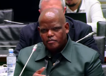 “Fikile Mbalula Called Me To Cape Town And Ask Me To Step Down” Khomotso Phahlane Revealed