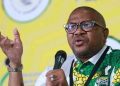 Mbalula Urges ANC Members to Emulate Peter Mokaba as Youth League Told to Fight for Young People
