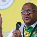Mbalula Urges ANC Members to Emulate Peter Mokaba as Youth League Told to Fight for Young People