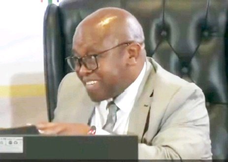 Madlanga Tells Senona, “Please Chill”