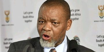 Gwede Mantashe Tells South Africans “Don’t Wait for Government, Go Find Work” as He Speaks on Jobs