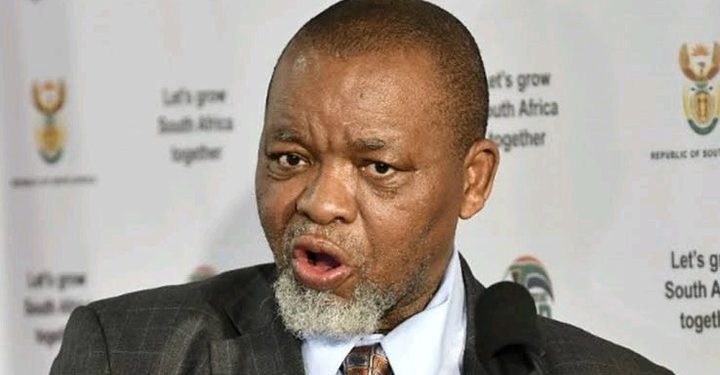 Gwede Mantashe Tells South Africans “Don’t Wait for Government, Go Find Work” as He Speaks on Jobs