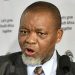 Gwede Mantashe Tells South Africans “Don’t Wait for Government, Go Find Work” as He Speaks on Jobs