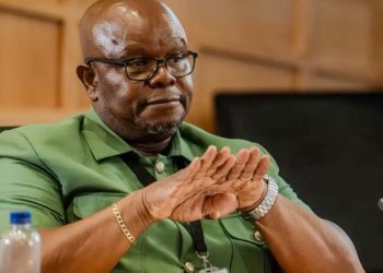 Madlanga Commission: Hawks Boss Reveals Name Amid Fear of Retribution