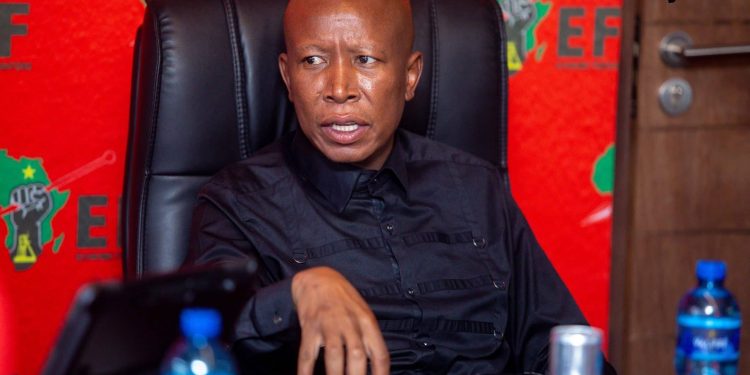 Malema’s Party Breaks Silence on His Sudden Absence From Mkhwanazi Probe Amid Legal Battles, Details