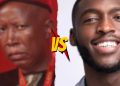 When Celebs and Politicians Clash: From Malema vs. Daliwonga to Other Feuds