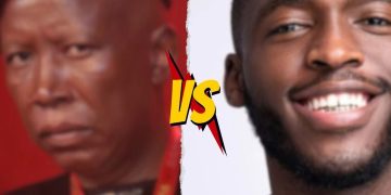 When Celebs and Politicians Clash: From Malema vs. Daliwonga to Other Feuds