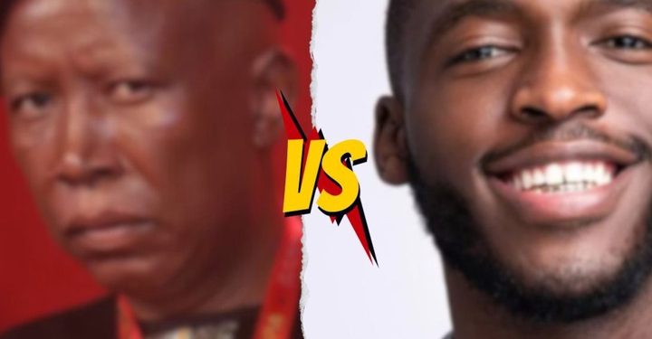 When Celebs and Politicians Clash: From Malema vs. Daliwonga to Other Feuds