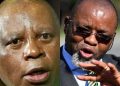 Herman Mashaba Breaks Silence After Gwede Mantashe Tells Struggling South Africans to Go Find Work