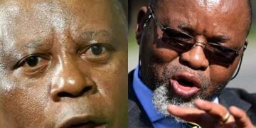 Herman Mashaba Breaks Silence After Gwede Mantashe Tells Struggling South Africans to Go Find Work