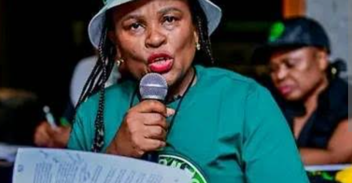 “The Results Speak for Themselves”: Mkhwebane Rebukes Malema’s ‘No Value’ Claim During Her EFF Time