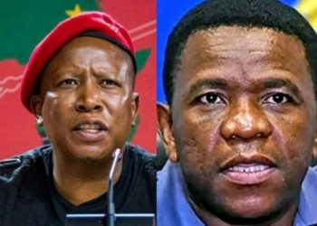 Julius Malema Blows Hot In Parliament After Mkhwanazi’s Police Corruption Evidence Was To Be Covered