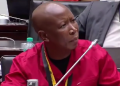 War In SA: Chaos Explode Behind Closed Doors As Malema Questions Phahlane, Look At What He Said