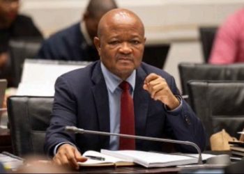 Minister of Police Senzo Mchunu to Resign from Parliament and Ministerial Role