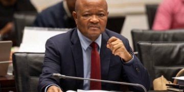 Minister of Police Senzo Mchunu to Resign from Parliament and Ministerial Role