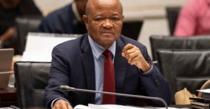 Minister of Police Senzo Mchunu to Resign from Parliament and Ministerial Role