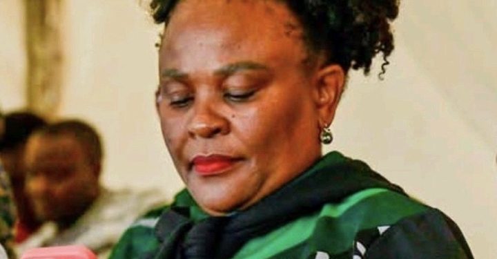 Mkhwebane Calls For Foreigners To Be Chased Out, Advocates Withdrawal From Refugee Convention