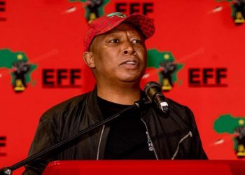 Analyst Says Malema Has ‘Slim Chance’ of Avoiding Jail in Firearm Case