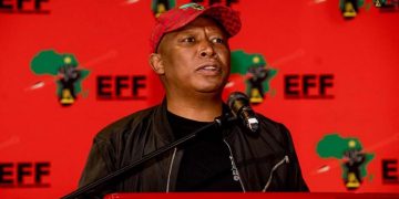 Analyst Says Malema Has ‘Slim Chance’ of Avoiding Jail in Firearm Case