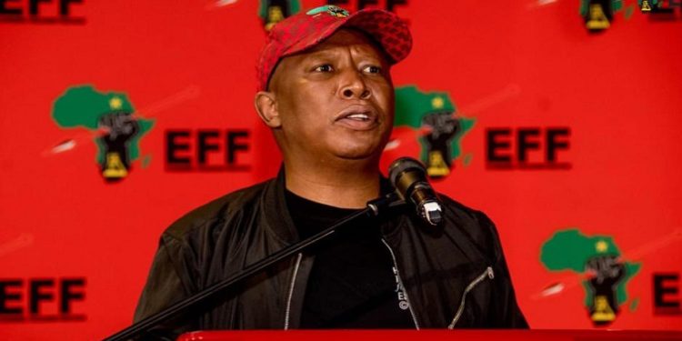 Analyst Says Malema Has ‘Slim Chance’ of Avoiding Jail in Firearm Case